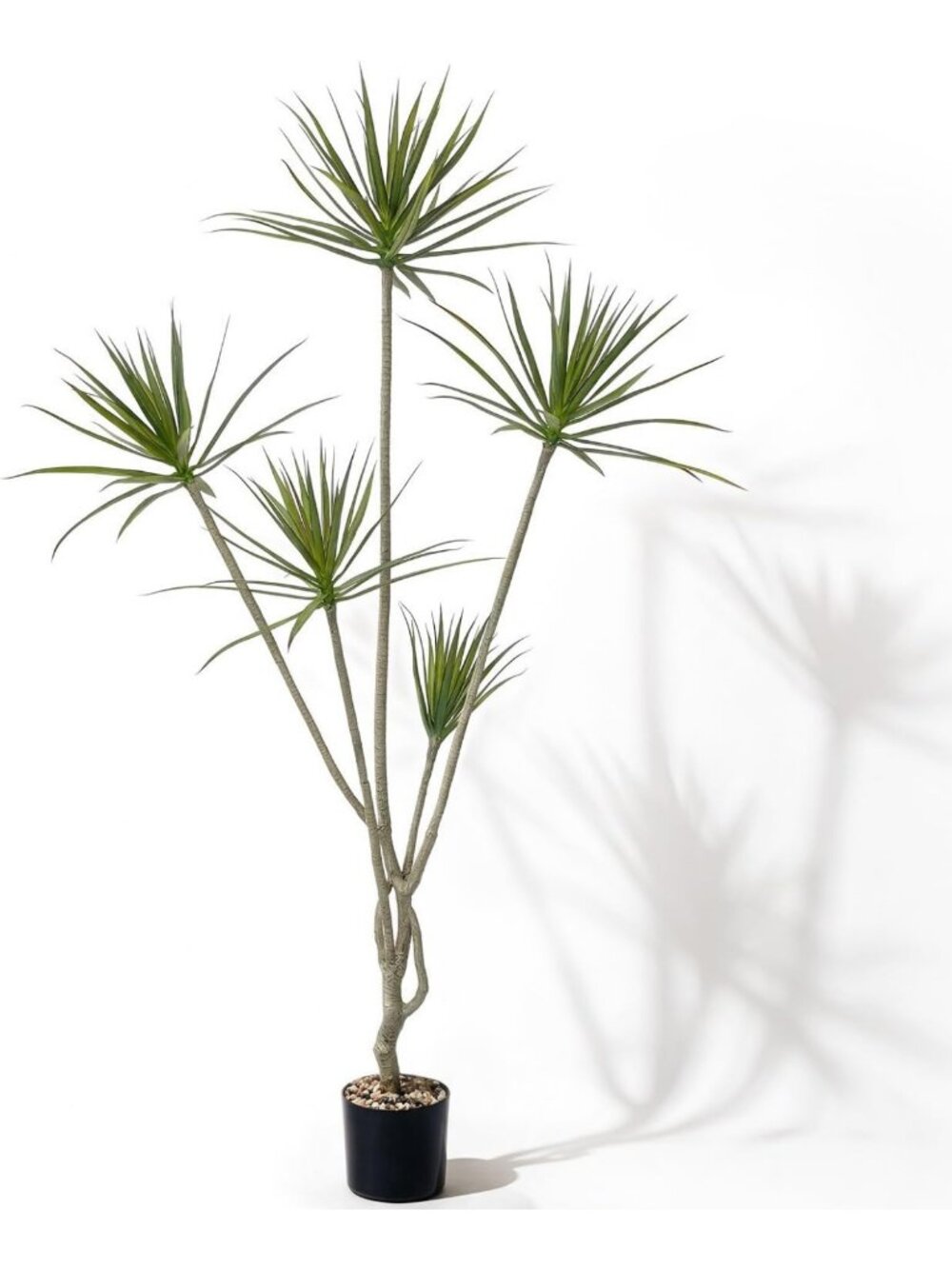 6ft Faux Dracaena Marginata Plant - Lifelike Indoor Home Decor, Dragon Tree